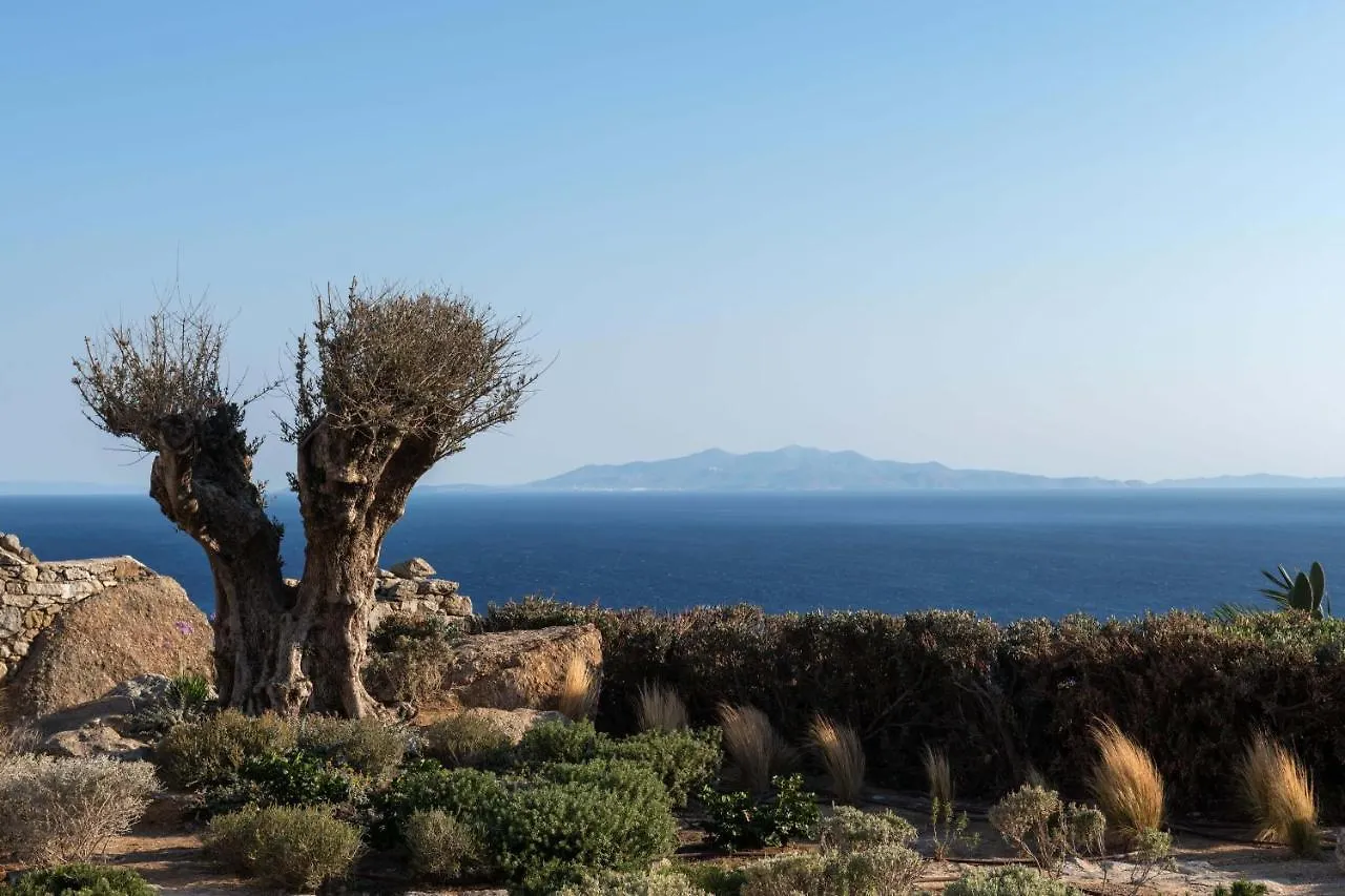 Villa Ava Mykonos Mykonos Town